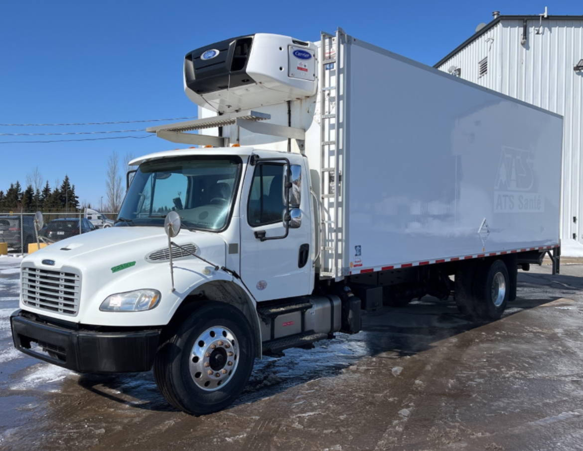 A fleet of modern Dhillon66 trucks lined up at a depot